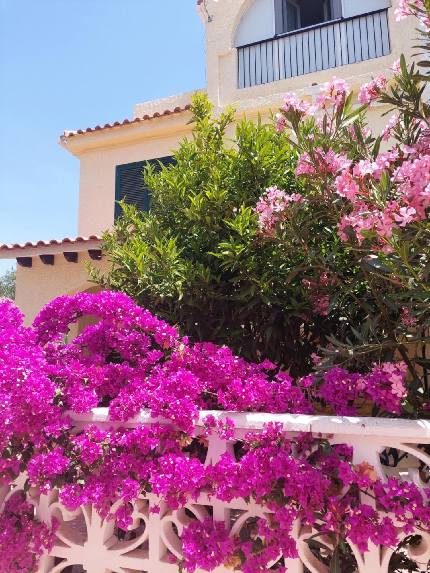 Haus Am Meer Torrevieja Eksteriør bilde